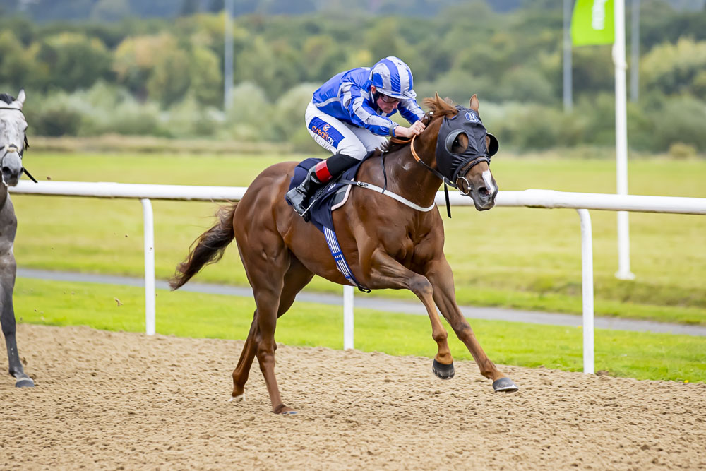 Marmaduke Lemon Wins at Wolverhampton